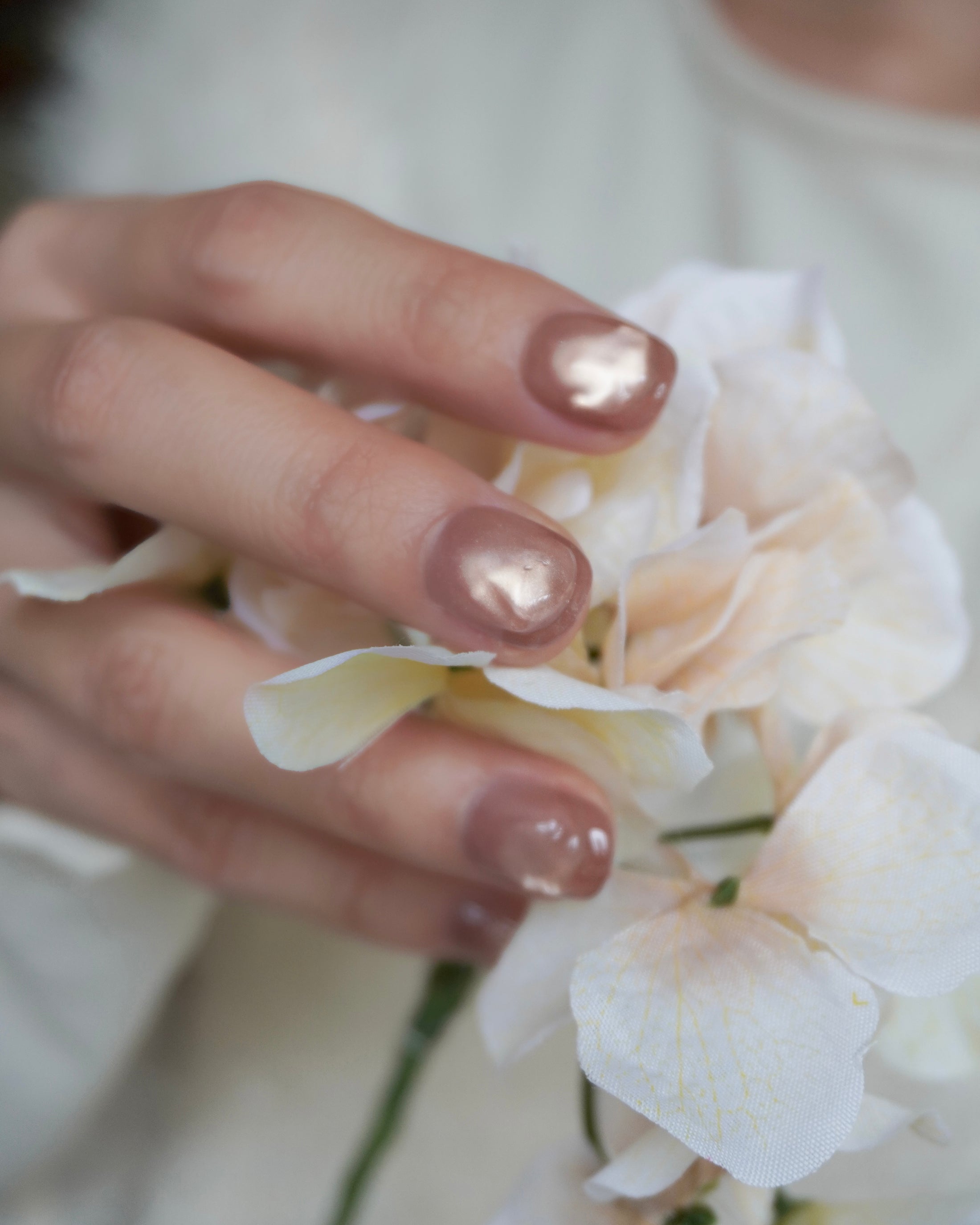 ブリュレジェリー